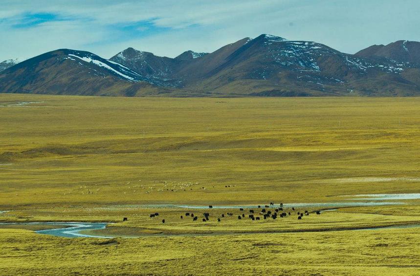 促進高原特產產業鏈發展 物流產業聯盟宣布成立